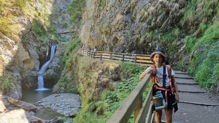 שאמוני והאלפים הצרפתיים